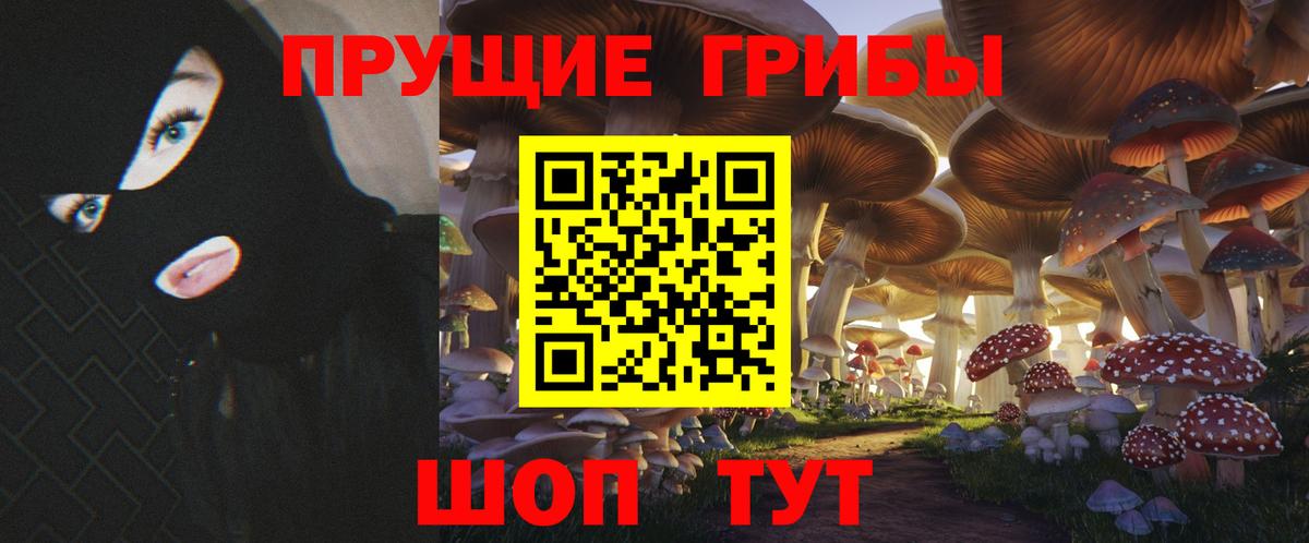 Псилоцибиновые грибы Cubensis  Вход с VPN  Черняховск 