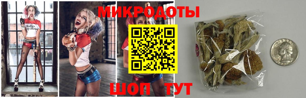 Галлюциногенные грибы Cubensis Черняховск